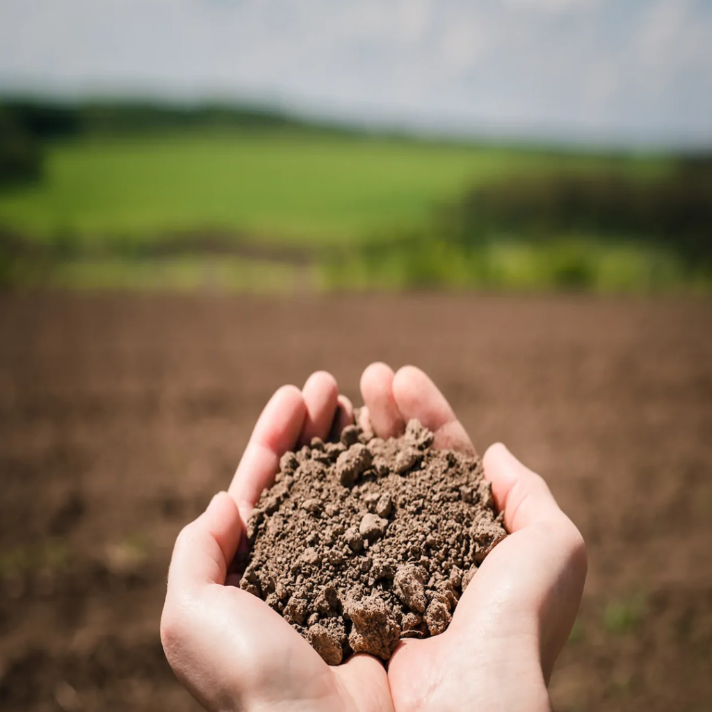 خاک - Soil