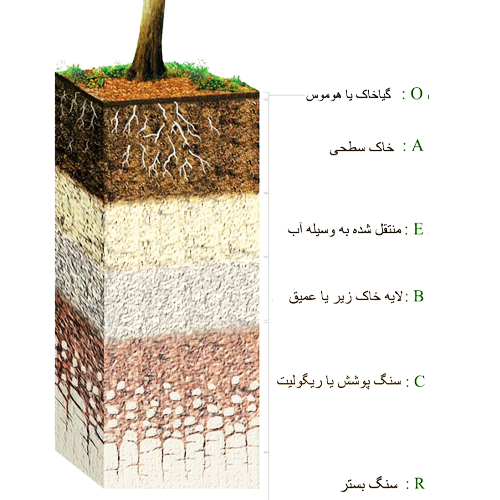مواد تشکیل دهنده خاکها