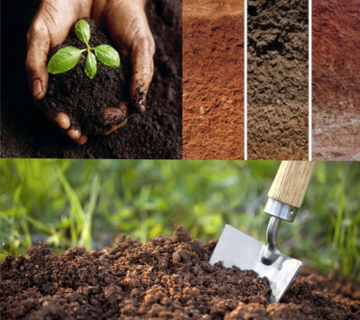 مصالح ساختمانی خارج از بورس